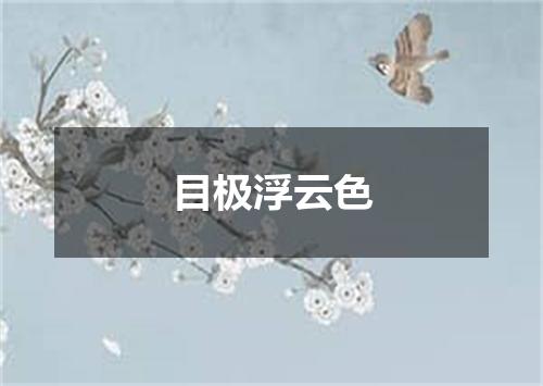 目极浮云色