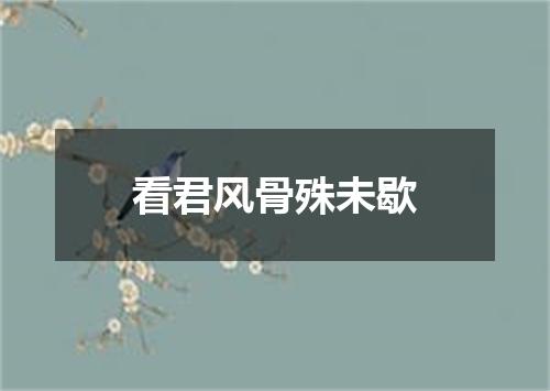 看君风骨殊未歇