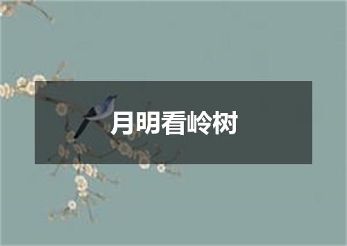 月明看岭树