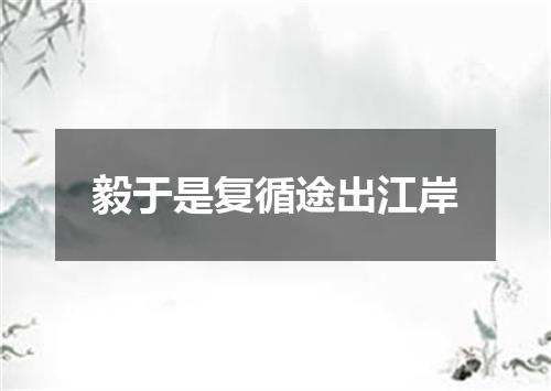 毅于是复循途出江岸