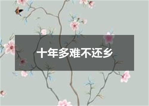 十年多难不还乡
