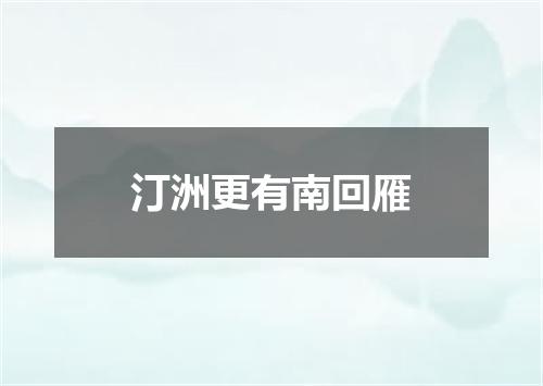 汀洲更有南回雁