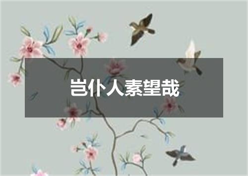 岂仆人素望哉