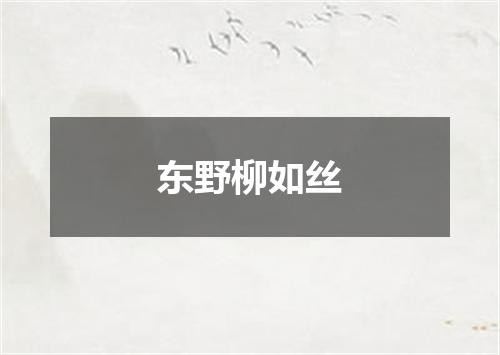东野柳如丝