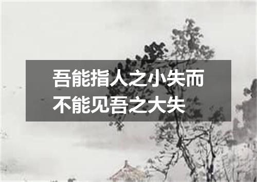 吾能指人之小失而不能见吾之大失