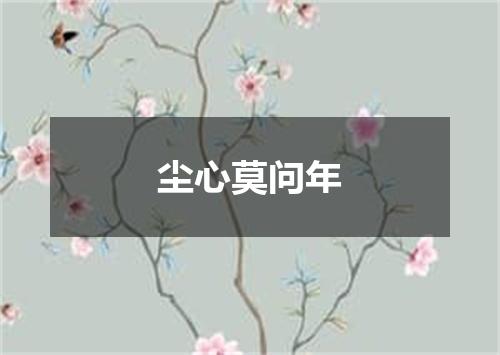 尘心莫问年