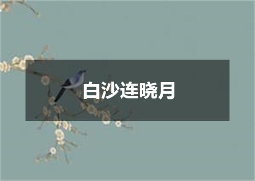 白沙连晓月