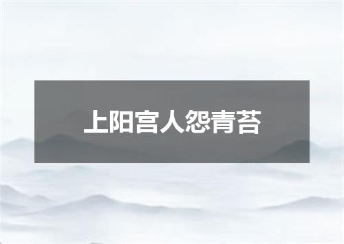上阳宫人怨青苔