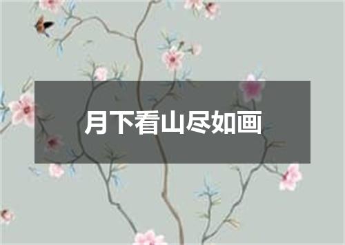 月下看山尽如画