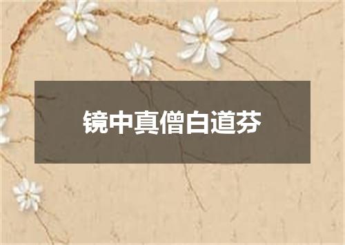 镜中真僧白道芬