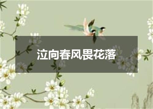 泣向春风畏花落