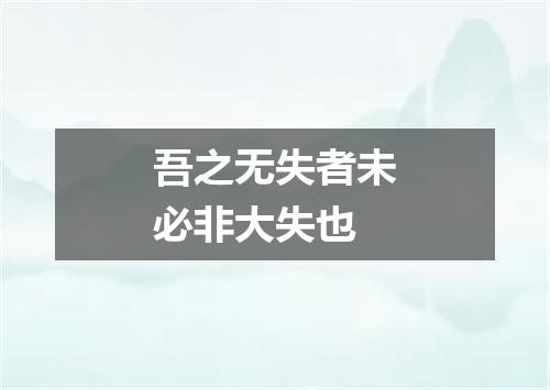 吾之无失者未必非大失也