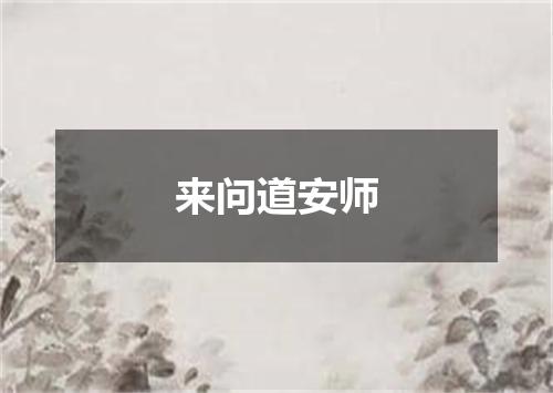 来问道安师