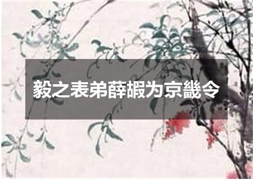 毅之表弟薛嘏为京畿令