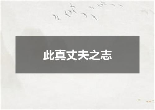此真丈夫之志