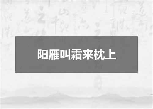 阳雁叫霜来枕上