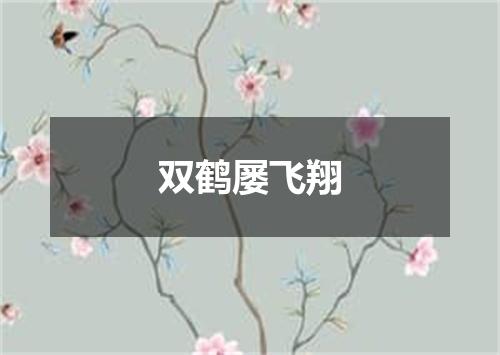 双鹤屡飞翔