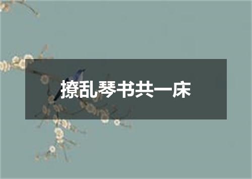 撩乱琴书共一床