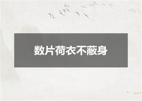 数片荷衣不蔽身