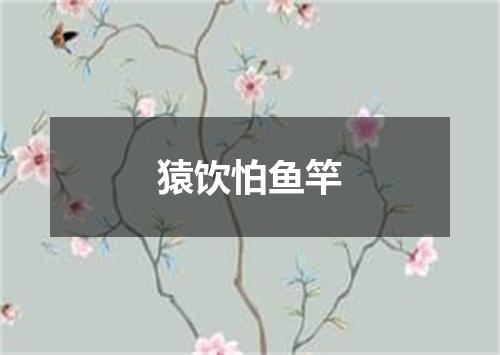 猿饮怕鱼竿