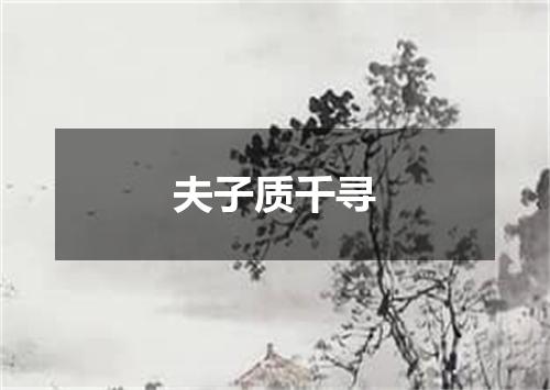 夫子质千寻