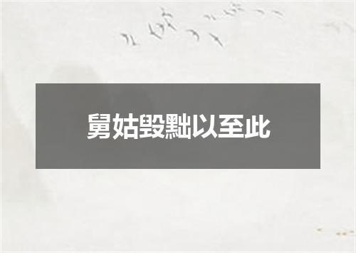舅姑毁黜以至此