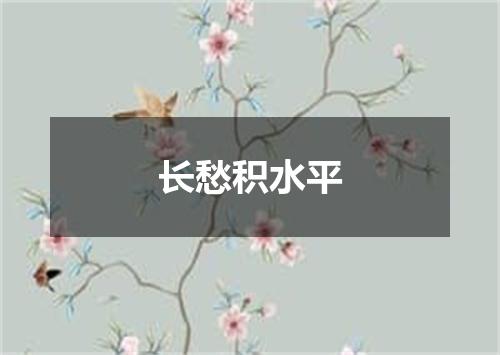 长愁积水平