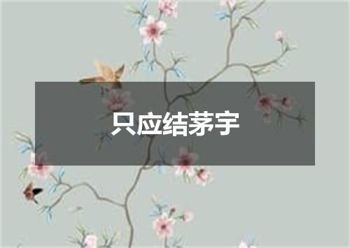 只应结茅宇