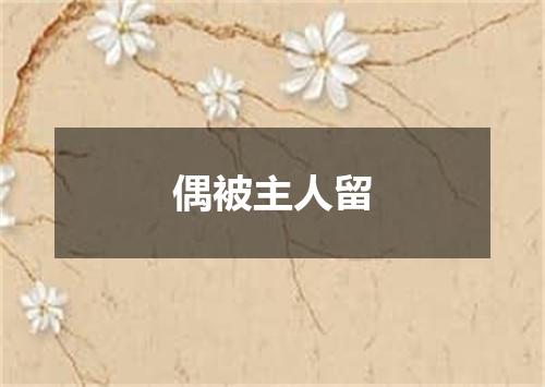 偶被主人留