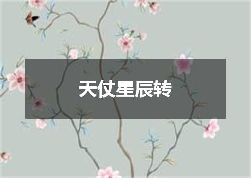 天仗星辰转
