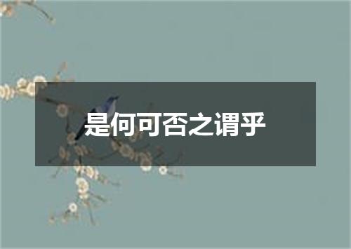 是何可否之谓乎