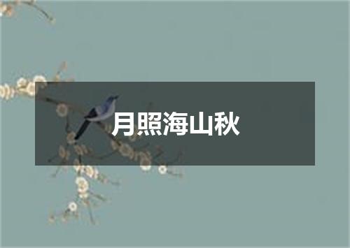 月照海山秋