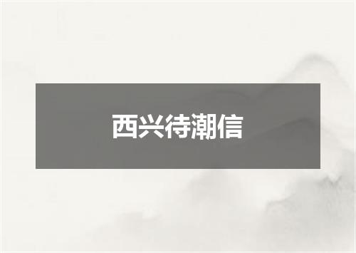 西兴待潮信
