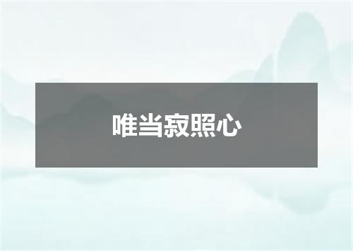 唯当寂照心