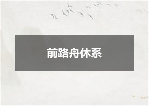 前路舟休系