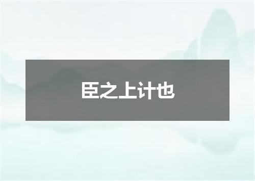 臣之上计也