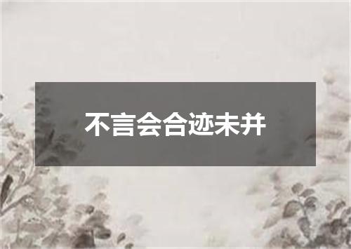 不言会合迹未并