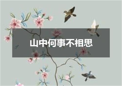 山中何事不相思