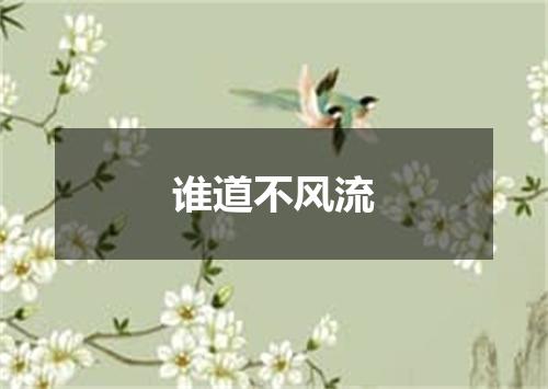 谁道不风流