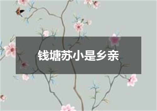 钱塘苏小是乡亲