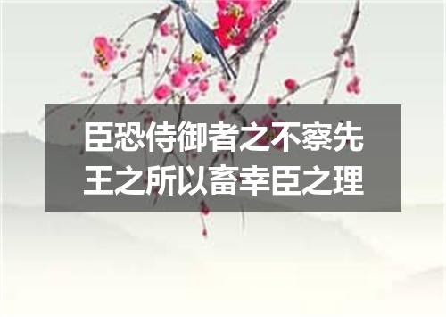 臣恐侍御者之不察先王之所以畜幸臣之理