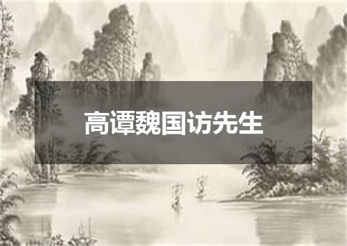 高谭魏国访先生