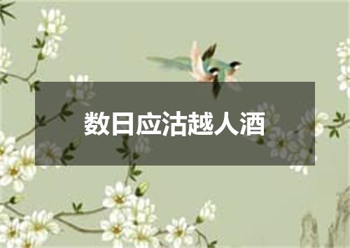 数日应沽越人酒