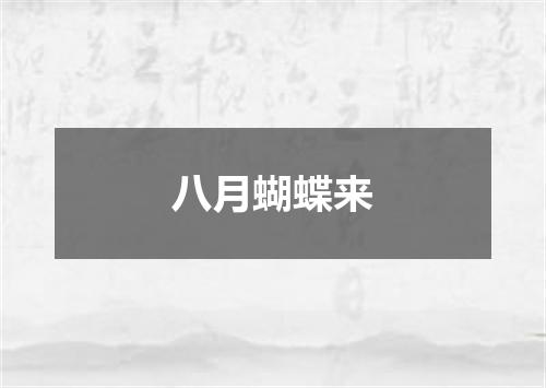 八月蝴蝶来