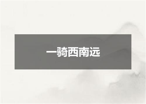一骑西南远