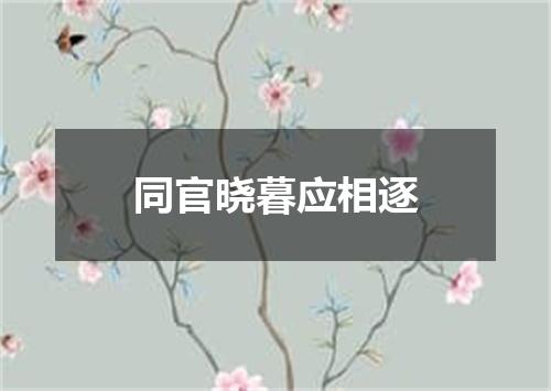 同官晓暮应相逐