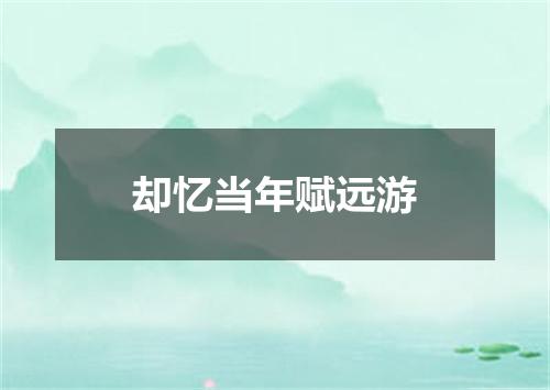却忆当年赋远游