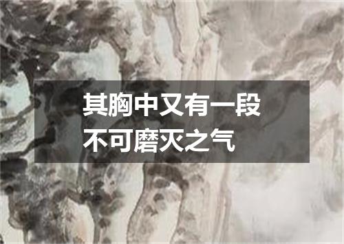 其胸中又有一段不可磨灭之气