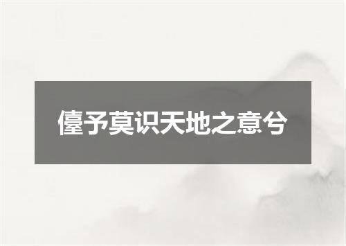 儓予莫识天地之意兮