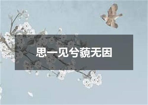 思一见兮藐无因